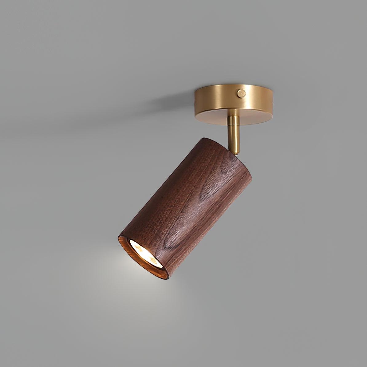 Plafón orientable Brisaara
