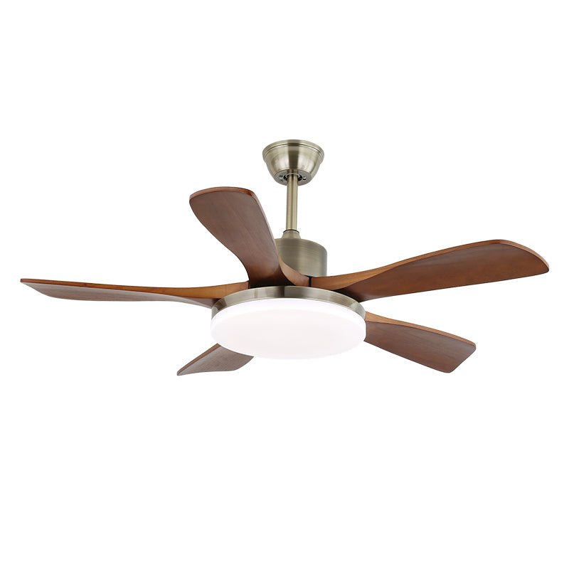 Ventilador de techo Anaolo