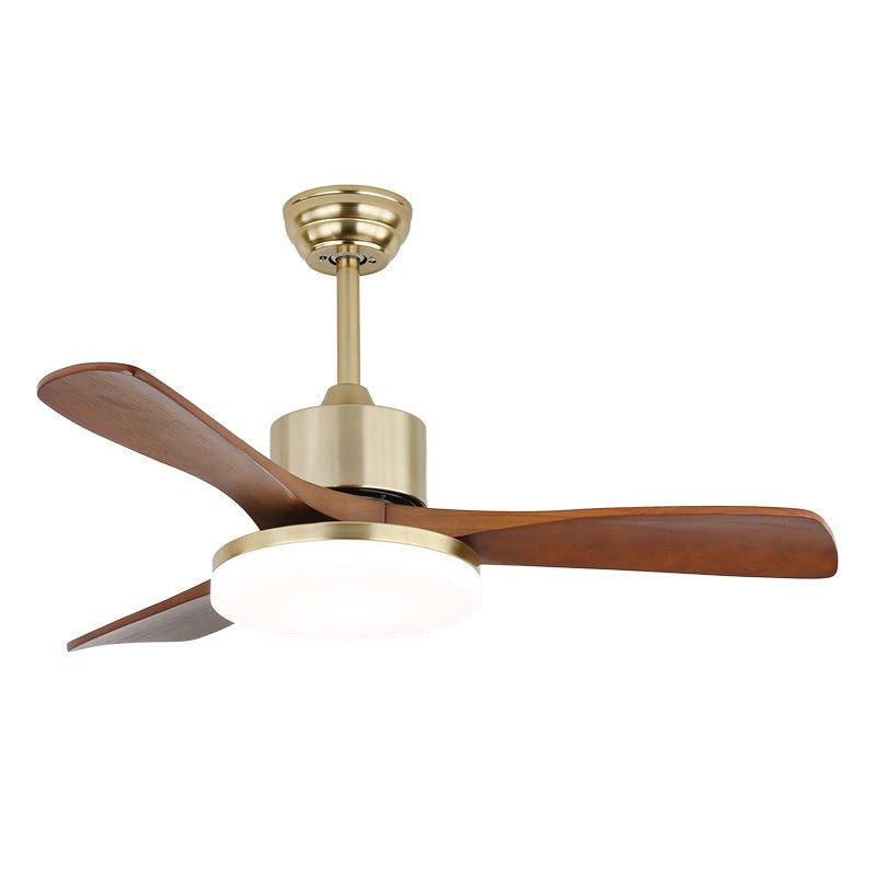 Ventilador de techo Anaolo