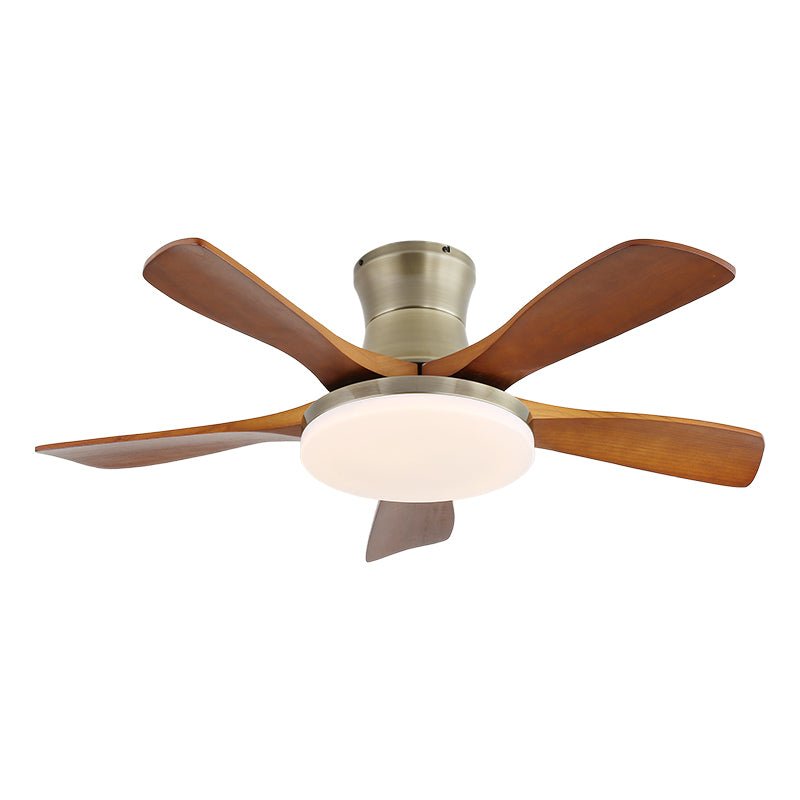Ventilador de techo Anaolo