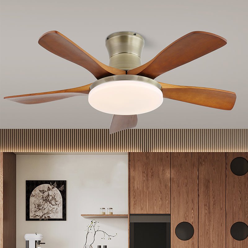 Ventilador de techo Anaolo