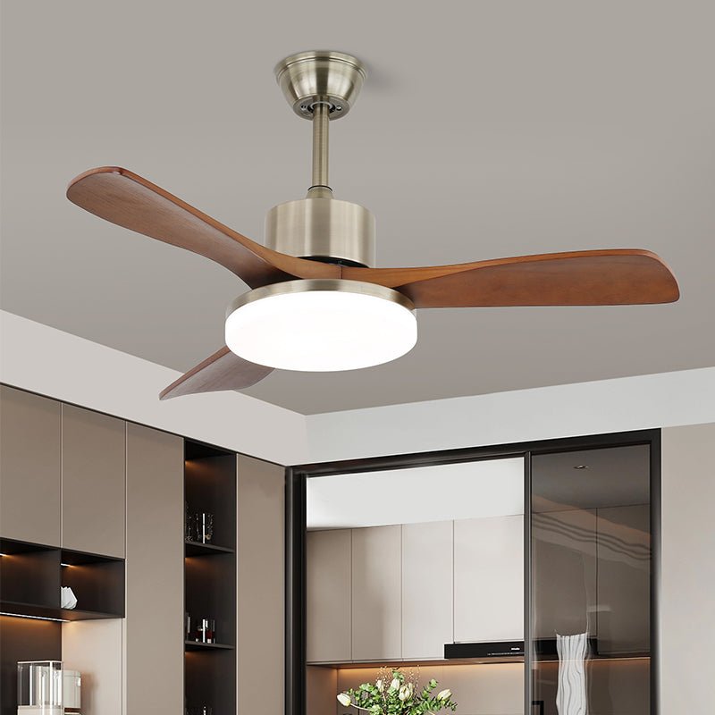 Ventilador de techo Anaolo