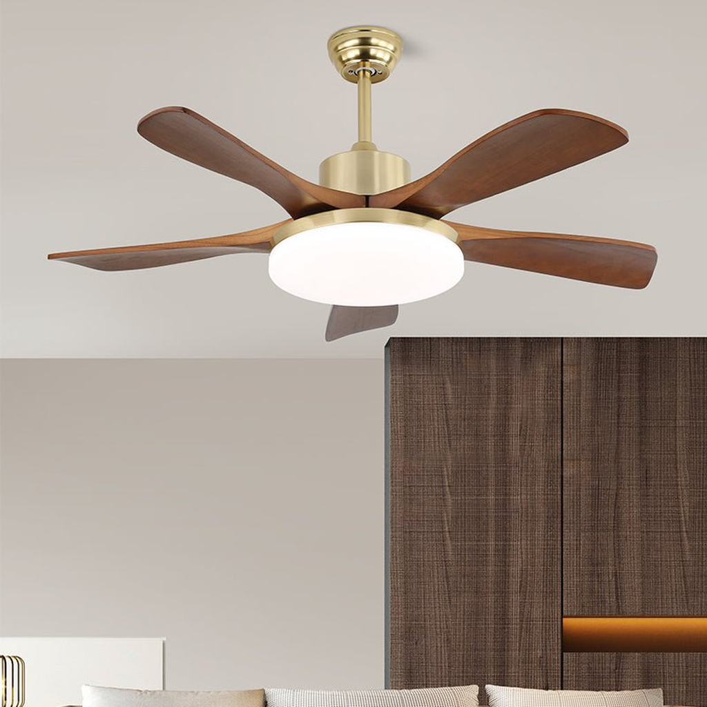 Ventilador de techo Anaolo