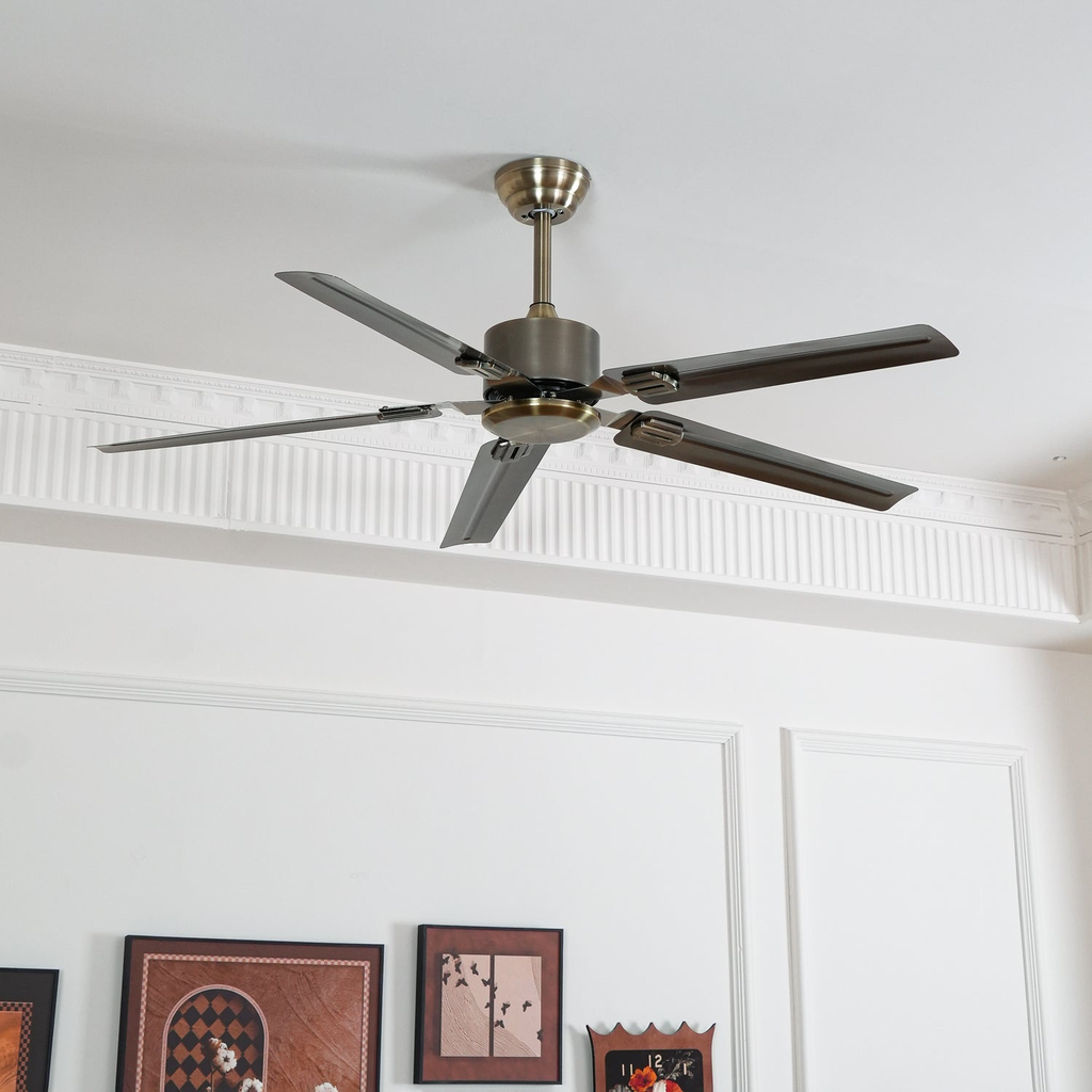 Ventilador de techo Dunailo