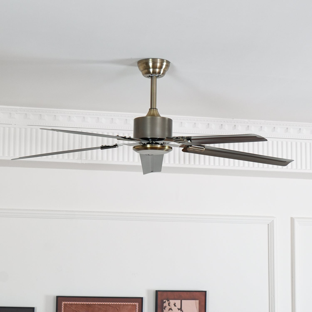 Ventilador de techo Dunailo