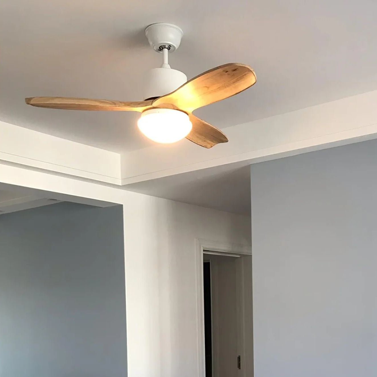 Ventilador de techo Loraevo