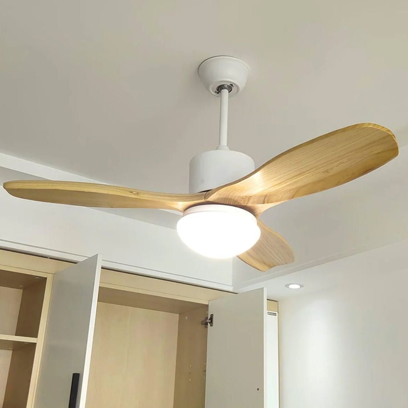 Ventilador de techo Loraevo