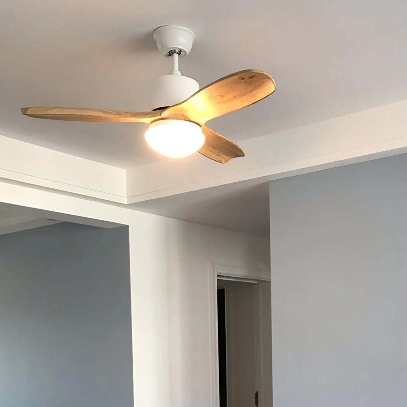 Ventilador de techo Loraevo